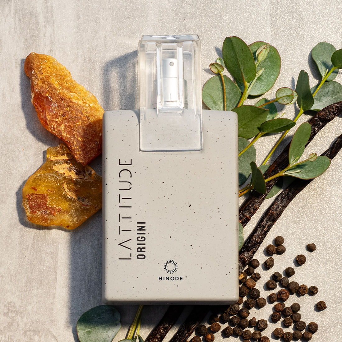 Lattitude-Origini---01